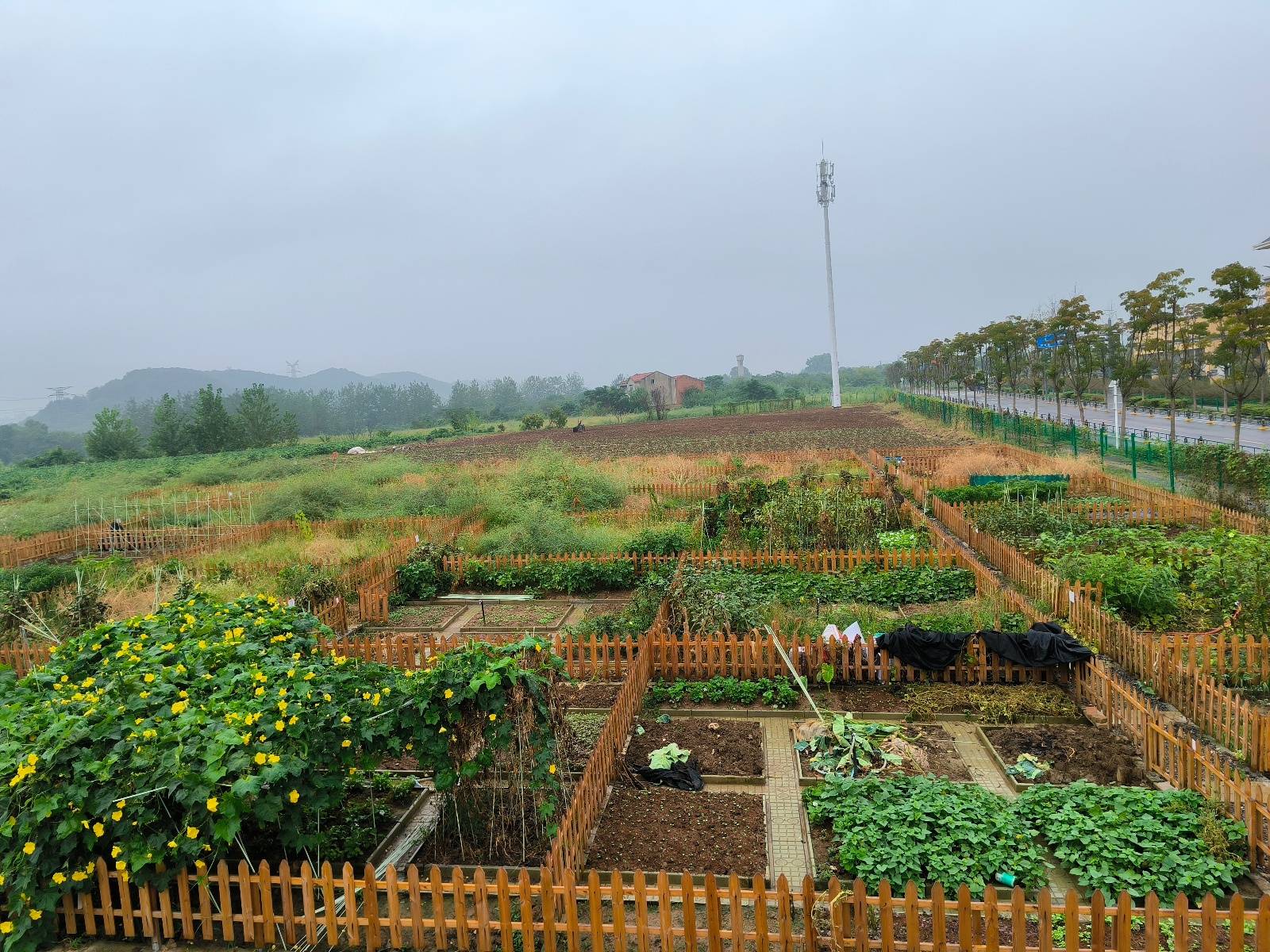 “汉超”来了个村支书:6年前他带村民办“村超”