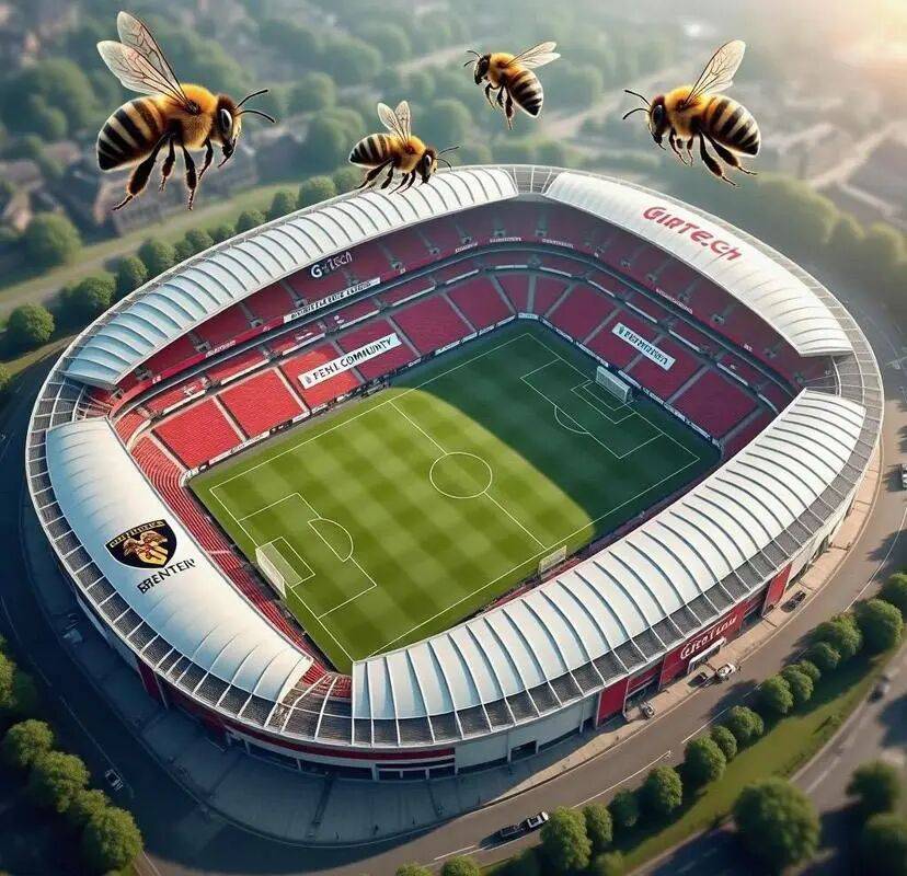 英超 布伦特VS诺丁汉森林